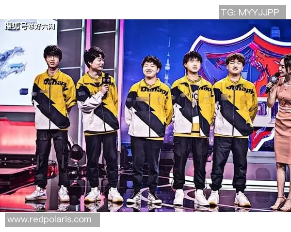 深圳排球队崛起之路精英赛背后的奋斗与荣耀